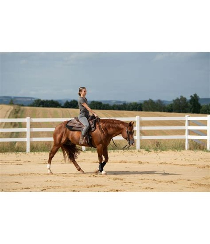 PPSC Results 2022 - 2023 Sub Divisional Engineer Posts Exam Result