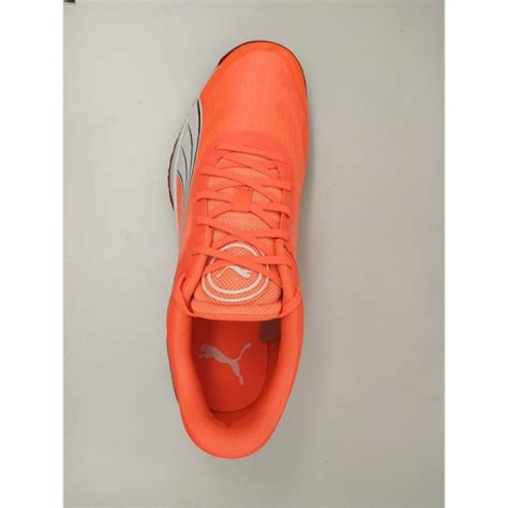 Ek Parivar Ek Pahchan : एक परिवार एक पहचान के लिए रजीस्ट्रेशन शुरू