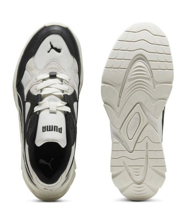 LGM OTT Release Date, Collection, Hit Or Flop, OTT Platform