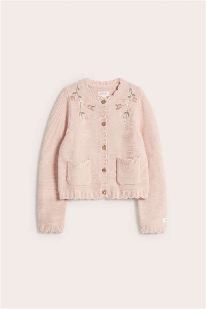 Is Bhediya a Real Story? Bhediya Movie Plot, Cast and More - News - SarkariResult