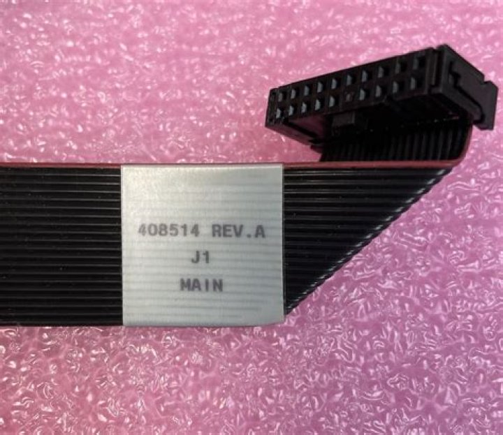 Alexandra Paul Obituary: What Happened To Canadian Olympic Figure Skater?