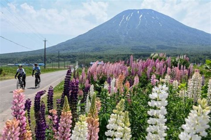 Brynn Whitfield's Net Worth in 2023: RHONY Star's Financial Standing - SarkariResult