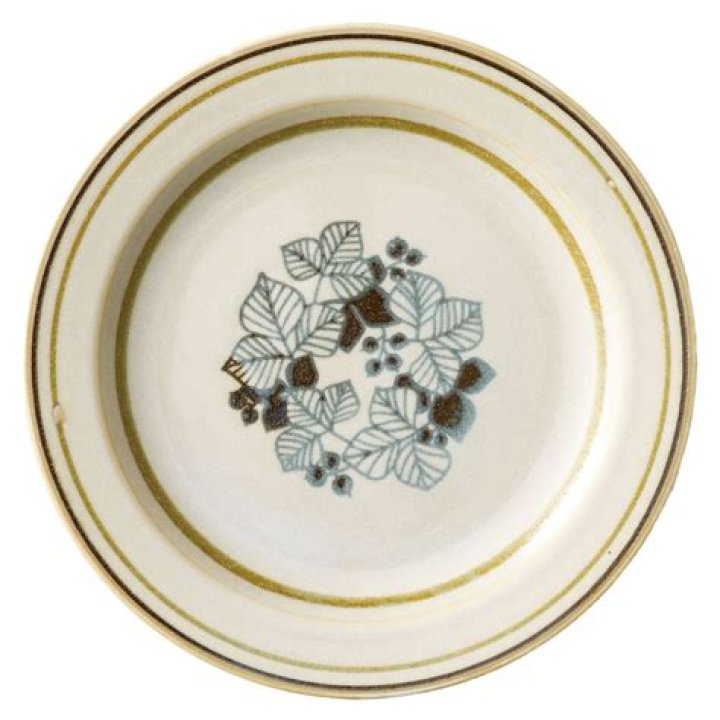 Is Casemiro Rise to Stardom a Tale of Determination? - SarkariResult