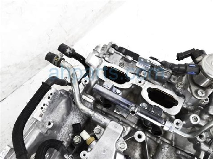 Discovering Coi Leray's Height: From Twitter Stats to Actual Measurements - SarkariResult