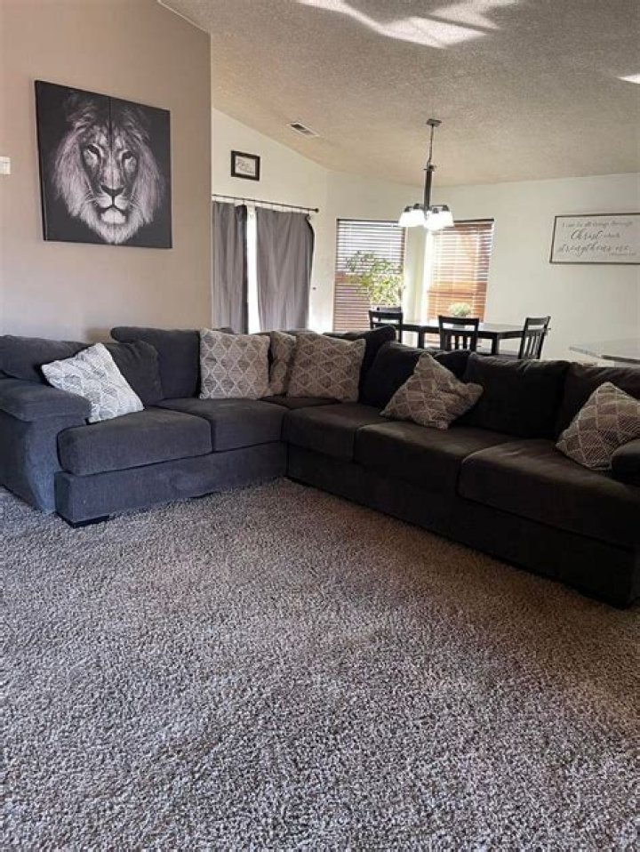 Who is Christian Pulisic Playing for Now? AC Milan Welcomes the Former Chelsea Star - SarkariResult