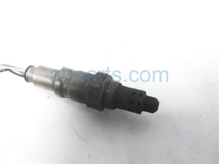 Why Was Turtle Boy Arrested? Is Aidan Kearney Arrested? - SarkariResult