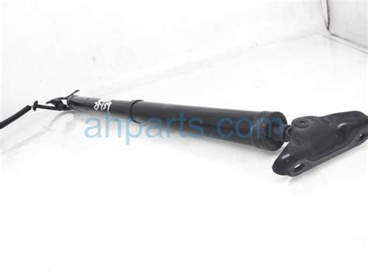 Caleb Plant Net Worth: Details About Record, Wife, Feight, Next, Stats - SarkariResult