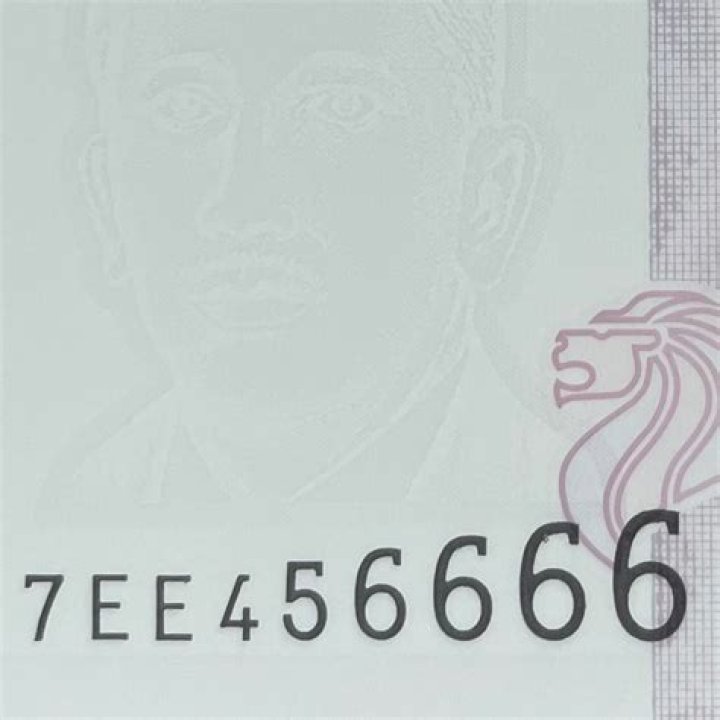 Vinny Capra Net Worth Details About Baseball, Income, Home, Age, Career - SarkariResult