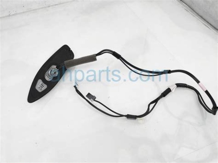 Dave Coulier Net Worth: Details About Wife, and, Movies, TV, Age, Shows - SarkariResult