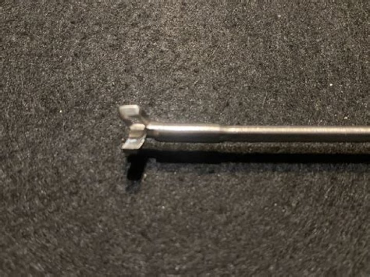 Elle Fanning Net Worth: Details About Film, Income, Age, Home, Career - SarkariResult