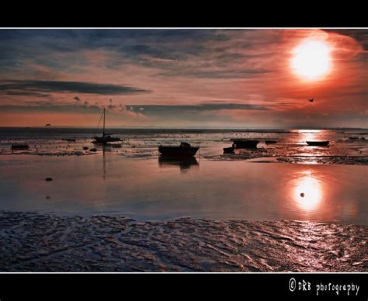 Alycia Debnam-Carey Net Worth: Details About Age, Income, Movie, Career - SarkariResult