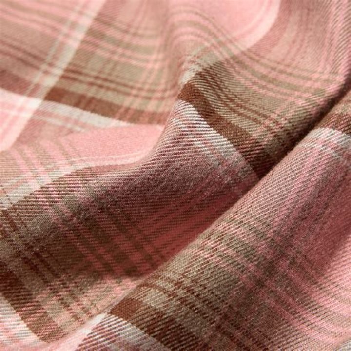 Rachel and Brayden Relationship Status: Are Rachel And Brayden Still Together? - SarkariResult