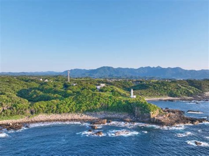 Who was Arye Zalmanovich? Israeli captive, 86, held by Hamas, passes away in captivity. - SarkariResult