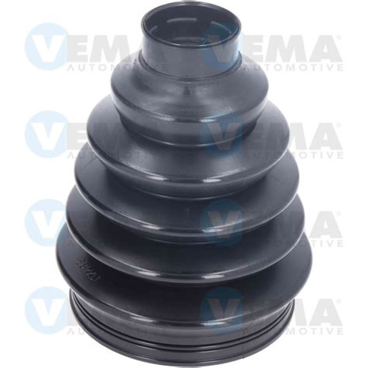 Destiny 2: How to Get the Thorn Catalyst? Find Thorn Catalyst in Destiny 2 - SarkariResult