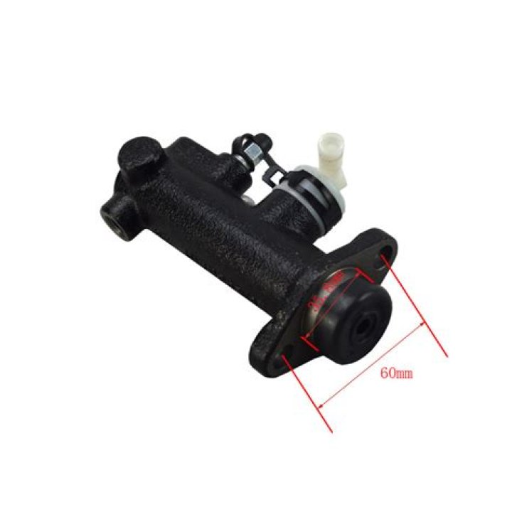 Kacey Musgraves's Height: What is The Hight of Kacey Musgraves? - SarkariResult