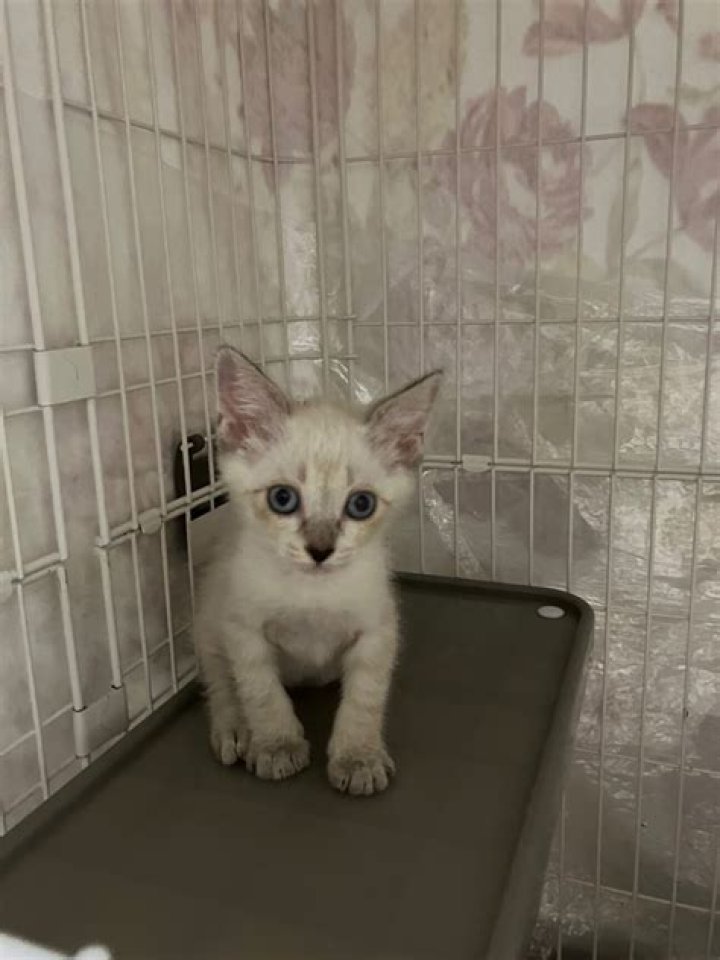 The Elder Scrolls V: Skyrim Special Edition (Update December 2023) - SarkariResult