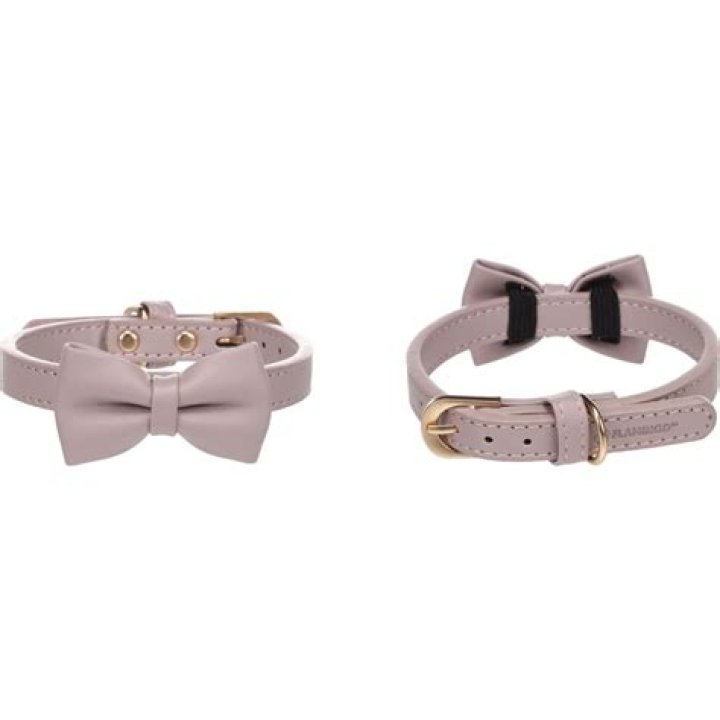 Dragon Ball: The Breakers Is Getting Crossplay! - SarkariResult