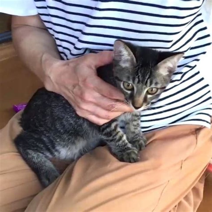 How to Fix Youtube Revanced Not Loading? - SarkariResult