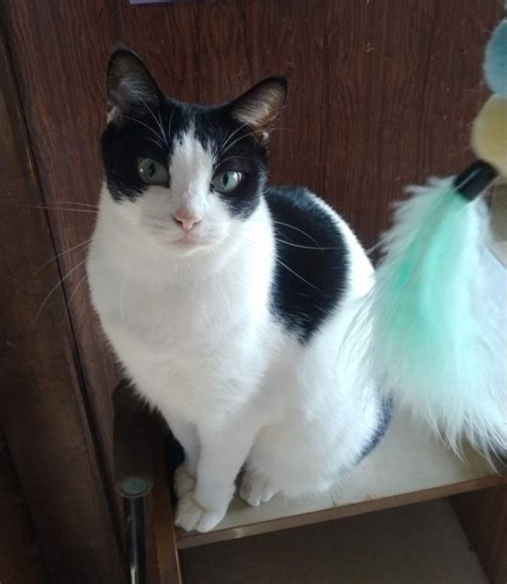 Bigg Boss Kannada 10 Voting Results: Who Will Get Highest Votes? - SarkariResult