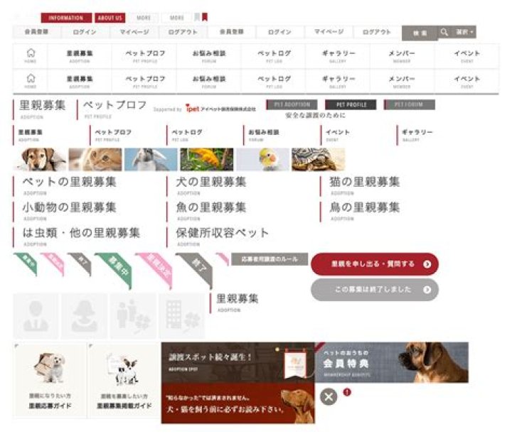 Sarah Lahbati: Exploring Sarah Lahbati's Background, Age, and Relationship Status - SarkariResult