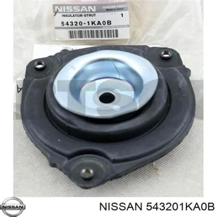 Who is Tommie Lee? Instagram Influencer Accused of Harassing Jewish Man on Uber Shuttle - SarkariResult