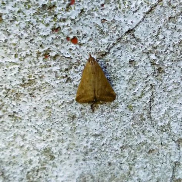 Lego NINJAGO Dragons Rising Season 2 : Anticipation Builds as Fans Await the Release of Season 2 in 2024! - SarkariResult