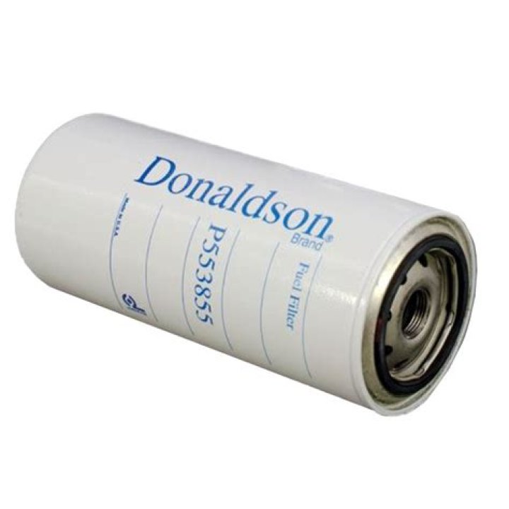 Matteo Sachman's Obituary & Cause Of Death: Who Was Matteo Sachman? What Happened to Matteo Sachman? - SarkariResult