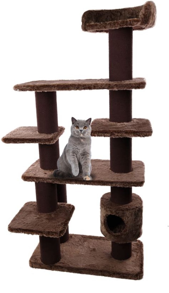 Roblox: Peroxide Codes January 2024, Check All Working Codes Here - SarkariResult