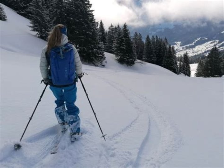 Michael Chambers' Disappearance / Missing - What Happened to Him? Has Michael Chambers Been Found? - SarkariResult