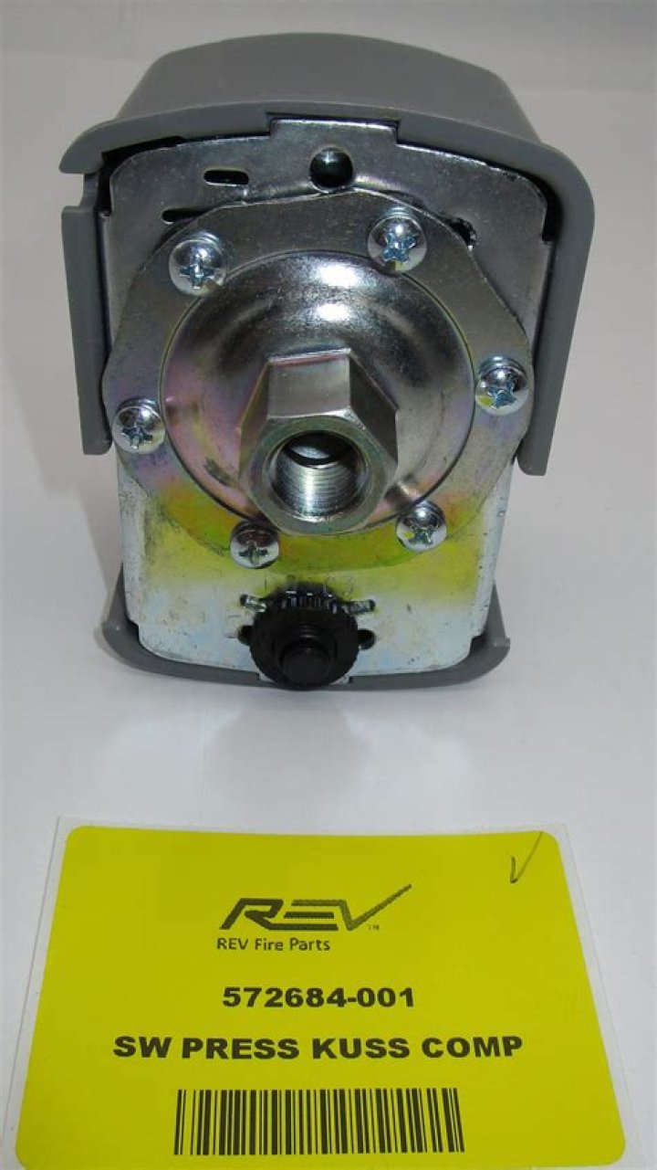 Palworld: Release Date, Release Times, Gamepass & Preload Details - SarkariResult