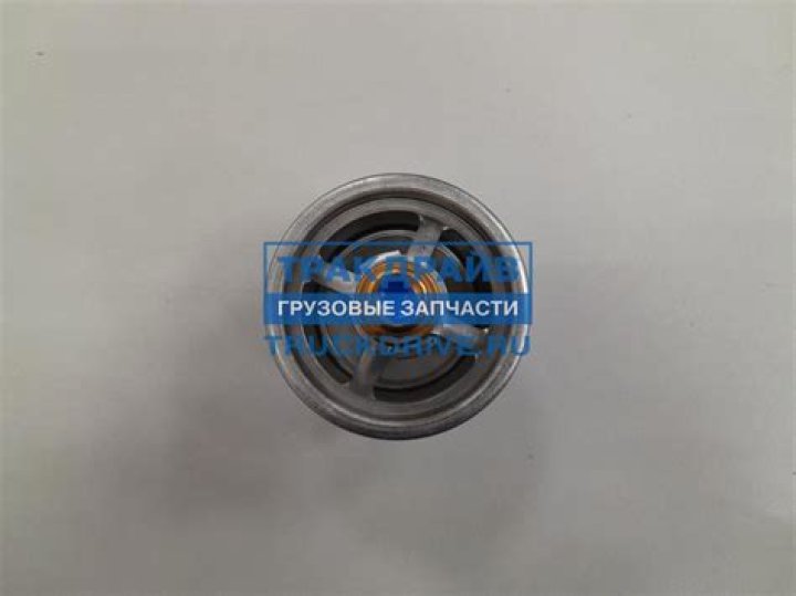 Alejandro Galindo Net Worth: Career, Family, Age, Income, Wiki, Bio, All You Need to Know - SarkariResult