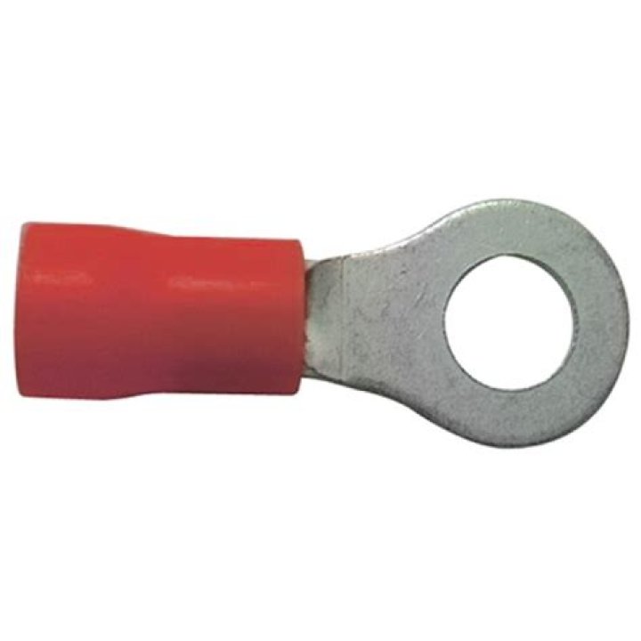 Kenneth Schuermans Net Worth: Career, Family, Age, Income, Wiki, Bio, All You Need to Know - SarkariResult