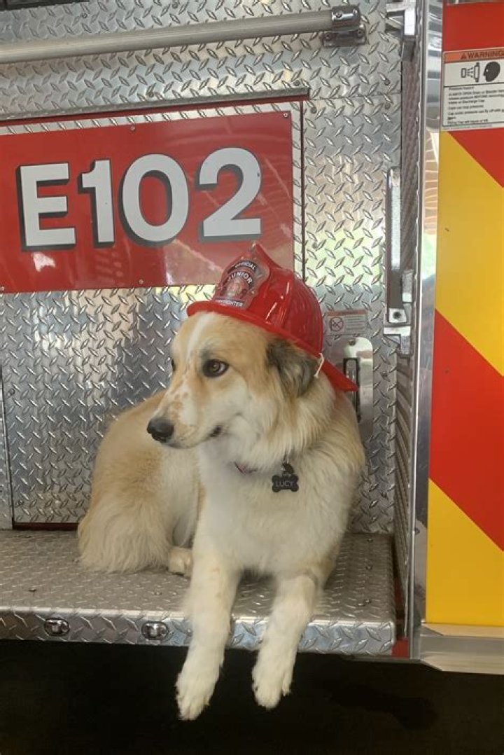 Sister I Am The Queen In This Life Chapter 83 Release Date, Recap, Cast, Review, Plot, Spoilers, Streaming, Schedule & Where To Watch? - SarkariResult