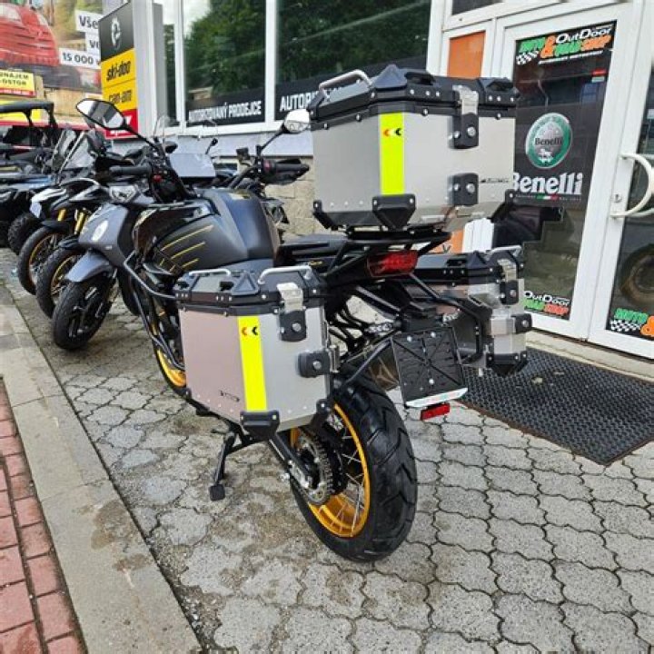 Who is Brandi Cyrus? All About Her Age, Bio, Full Name, Net Worth and More - SarkariResult