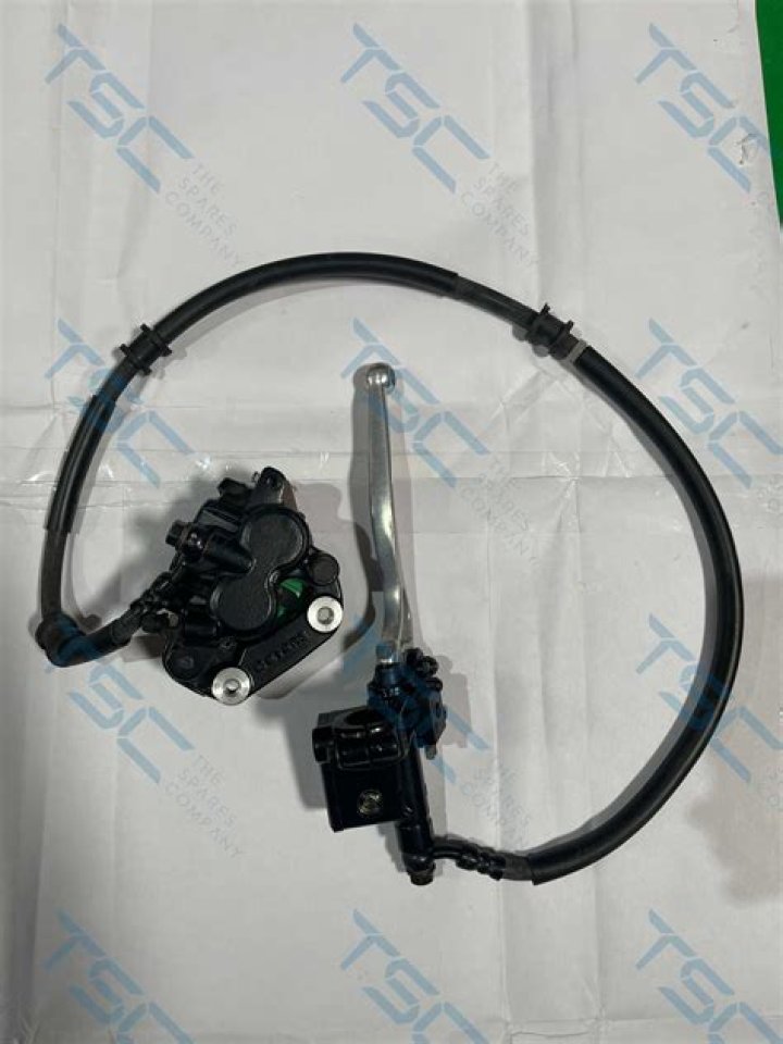 Did Babe Paley Have Plastic Surgery? Her Before and After Photos, Who Was Babe Paley? - SarkariResult