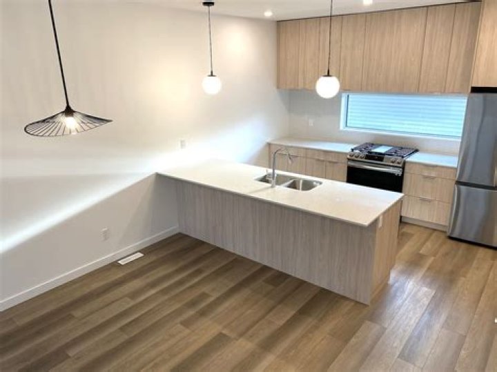 Puppy Bowl Contestants 2024: Date and Time, Adoptable Dogs List and More - SarkariResult