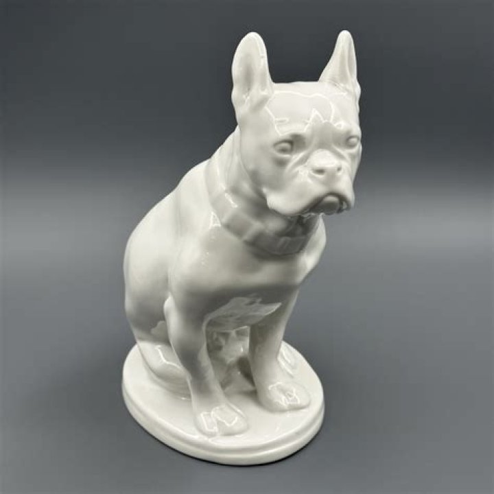 Ashley Young Net Worth: Career, Family, Age, Income, Wiki, Bio, All You Need to Know - SarkariResult