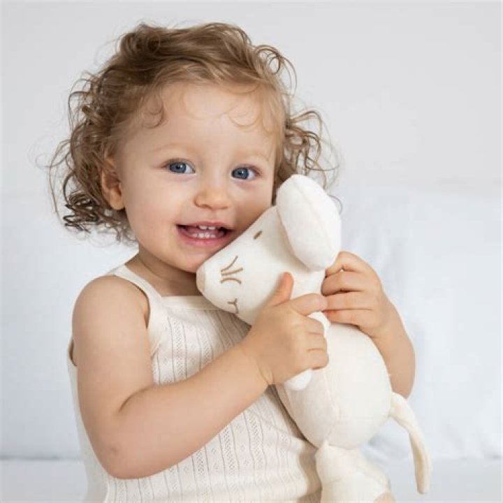 Rio Tinto Dividend 2024, Record Date, Payment Date, Share Price History and More - SarkariResult