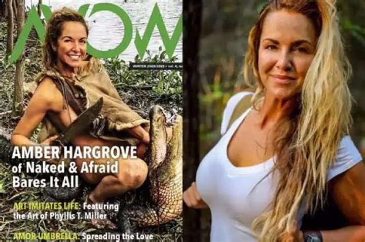 Amber Hargrove Height, Weight, Net Worth, Age, Birthday, Wikipedia, Who, Nationality, Biography