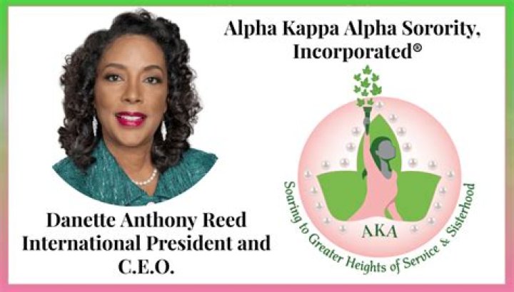 
Anthony Reed Age, Birthday, Wikipedia, Who, Nationality, Biography 