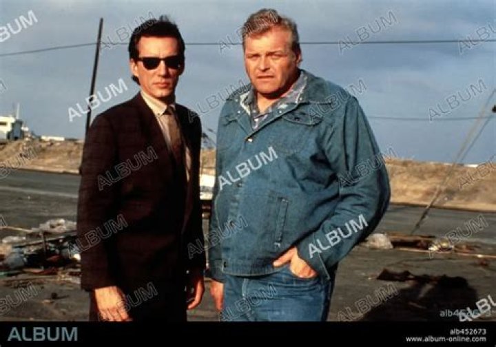 
Brian Dennehy Cause of Death, How did Brian Dennehy Die? 