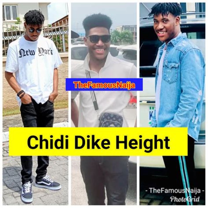 Chidi Mokeme Height, Weight, Net Worth, Age, Birthday, Wikipedia, Who, Instagram, Biography