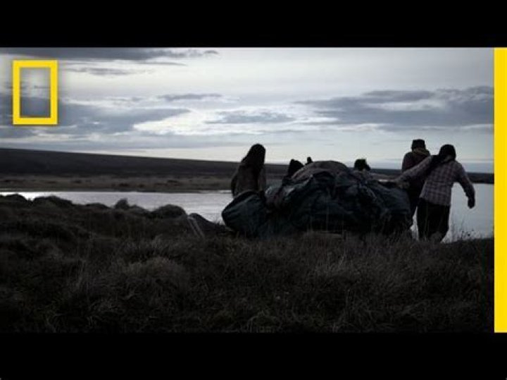 Chip Hailstone Biography, Career, Age, Wife, Kids, Net worth, Parents