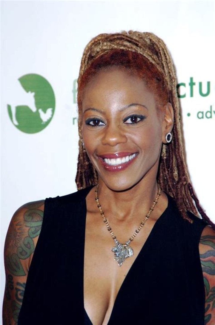 Debra Wilson Bio, Wiki, Age, Husband, Family, Net Worth, Tattoos, Height, MADtv and Whitney Houston
