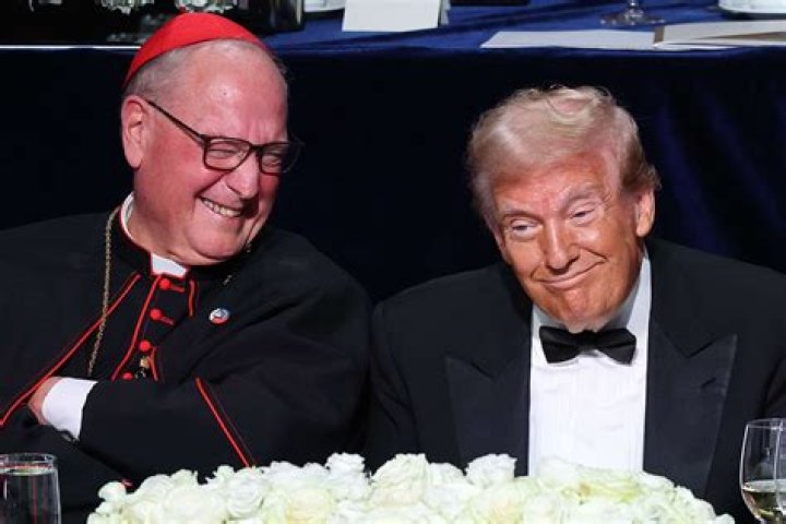 Does Monica Dolan have a twin?