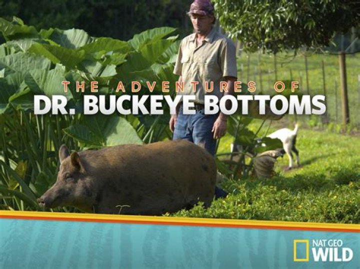 Dr. Buckeye Bottoms vet Wiki/Bio, Death, Wife, Family, Married, Net Worth