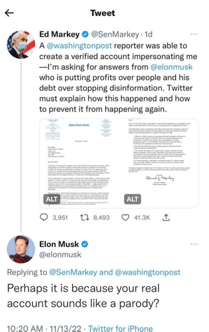 
Ed Markey Criticized Elon Musk After A Reporter Created A Verified Account In His Name 