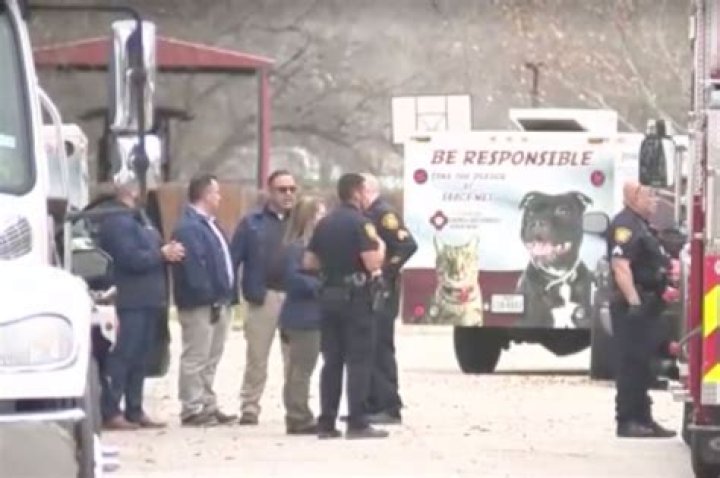 
First responders fight off vicious dogs who killed 80-year-old man, injured 3 others in San Antonio 