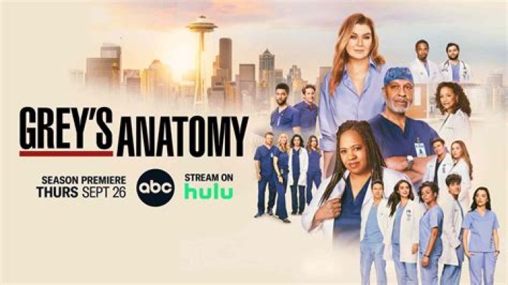 
Grey’s Anatomy Season 19 Episode 5 Release Date: Addison And Bailey Will Face Pregnancy Complication 