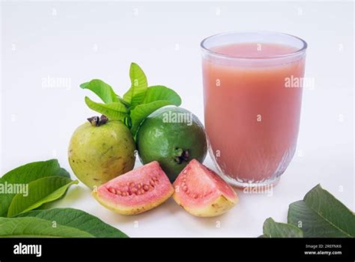 Guava Juice Net Worth 2019: Revealed with Proof